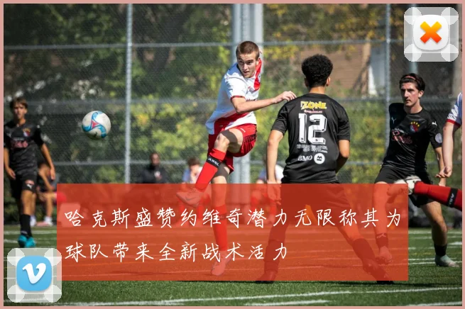 哈克斯盛赞约维奇潜力无限称其为球队带来全新战术活力