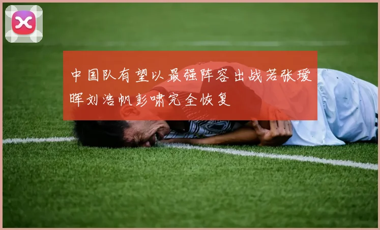 中国队有望以最强阵容出战若张瑷晖刘浩帆彭啸完全恢复